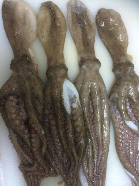 小雨の中行ってきました