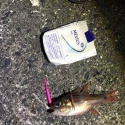 メバリング！！