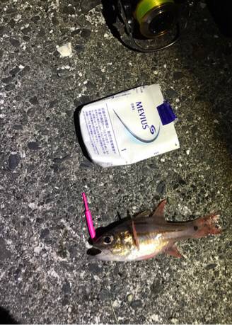 メバリング！！