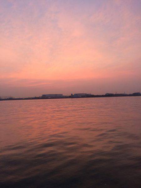 つばすゲットだぜ！！