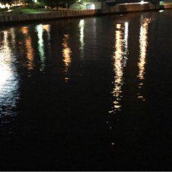 先月と比較してアタリ激減…