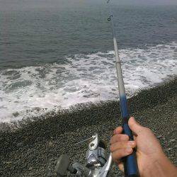 強風のタコ上げ