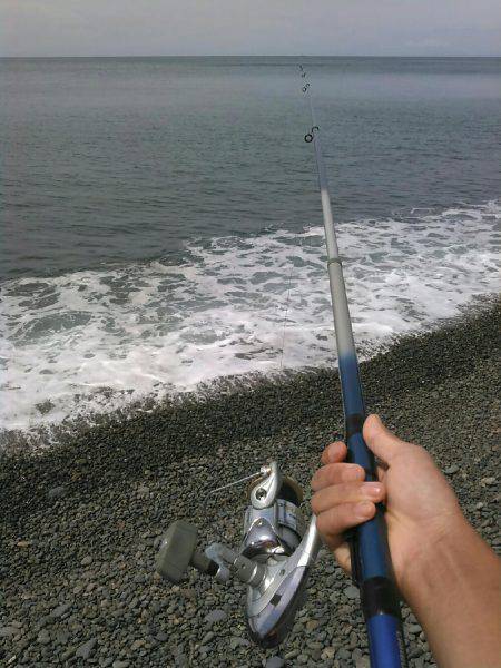 強風のタコ上げ