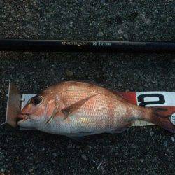 いつかは記録賞で