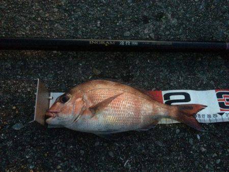 いつかは記録賞で