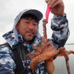 五目タコエギｄｅタコ