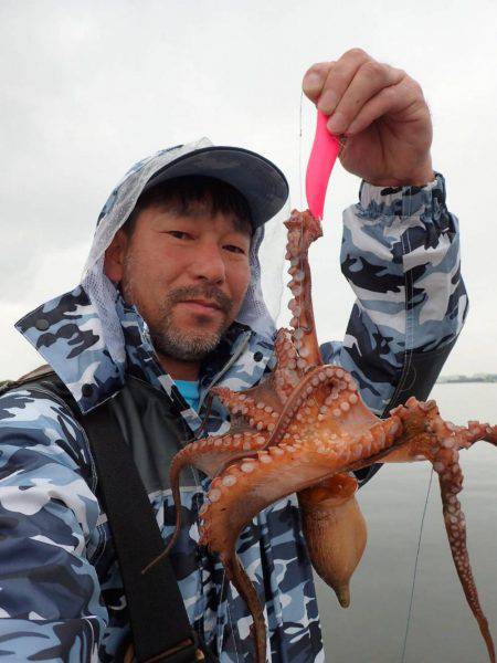 五目タコエギｄｅタコ