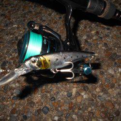 テクトロでヒット