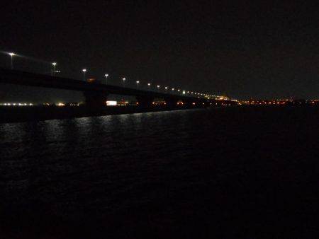 サクッとキビレ♪