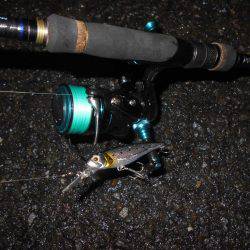 際打ちでシーバス♪