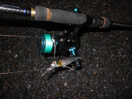 際打ちでシーバス♪