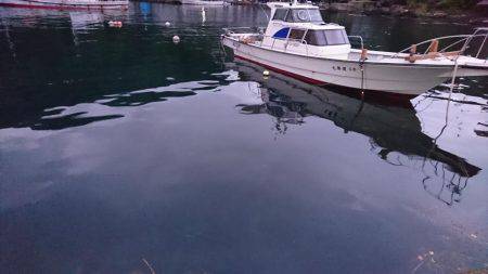 高級魚2種GETならず