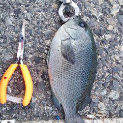 根魚パラダイス！