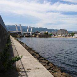 前回釣れたポイントに、サイズアップ狙い！