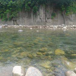 今年初の鮎釣り