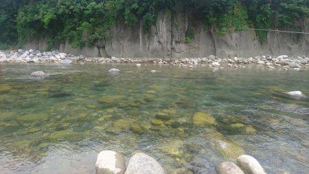 今年初の鮎釣り