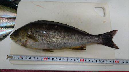 梅雨の晴れ間に