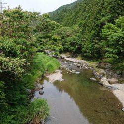 和歌山の小河川で