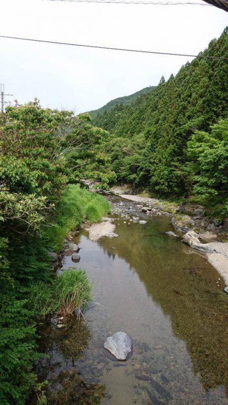 和歌山の小河川で