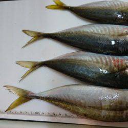 ウミック手漕ぎボート❕