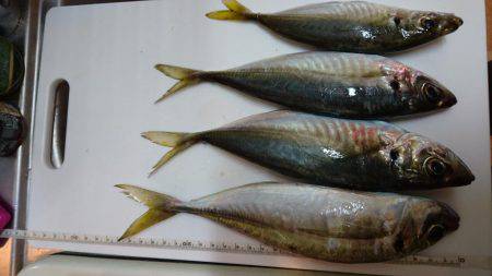 ウミック手漕ぎボート❕