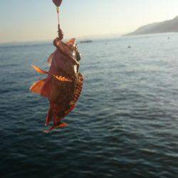 富島港朝のパトロール