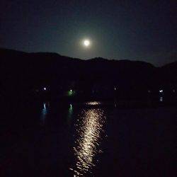 魚の活性は低かった