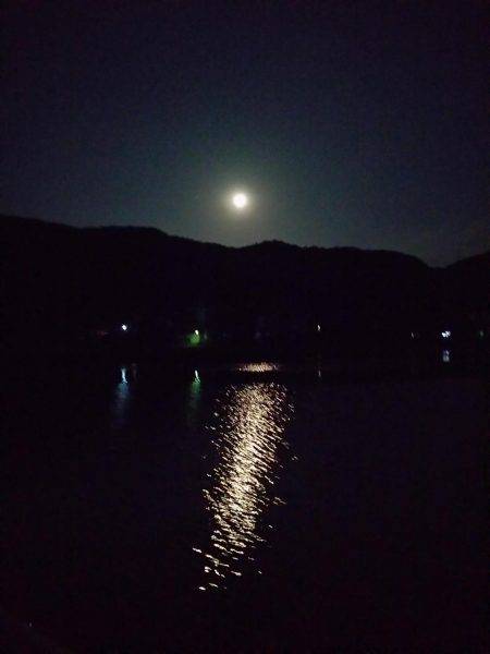 魚の活性は低かった