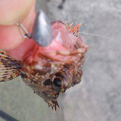 リアクションで辛うじて