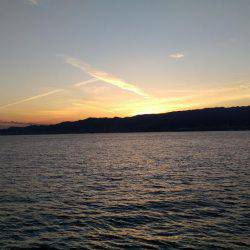 バチ抜けももう終わり?