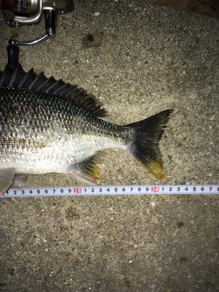 梅雨時期の短時間釣行