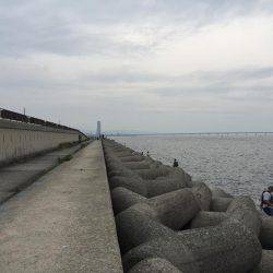 ツバス初ゲット