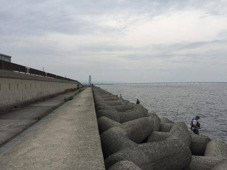 ツバス初ゲット