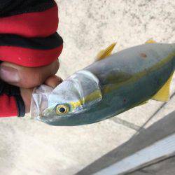 仕事帰りに寄り道♫