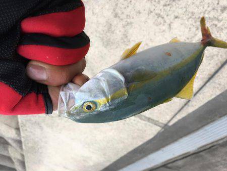 仕事帰りに寄り道♫