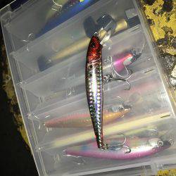 シーバスハンター