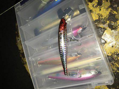 シーバスハンター