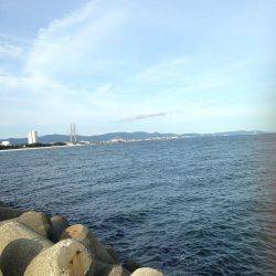 ライトショアジギング