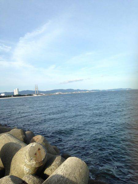 ライトショアジギング