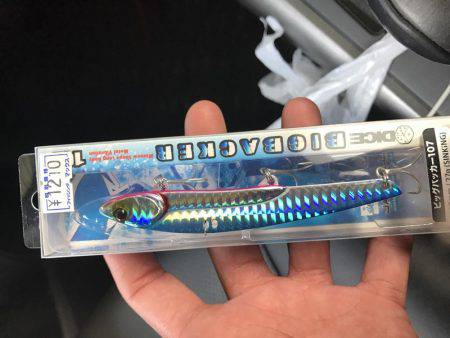 まだ釣れてます。