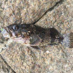 出張先での休日