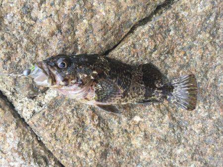 出張先での休日