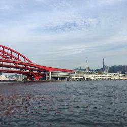 ツバス活性高し