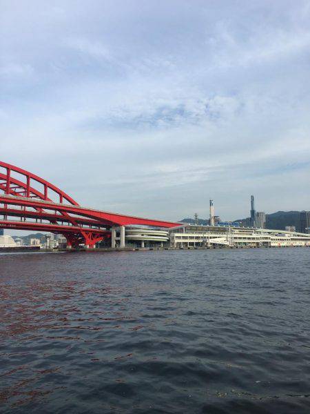 ツバス活性高し