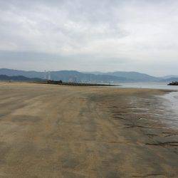 キスが釣りたい