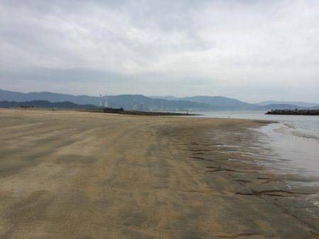 キスが釣りたい