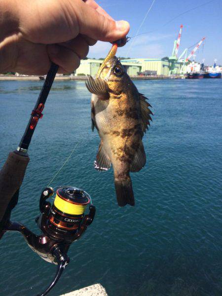 来島・小島で惨敗、、、