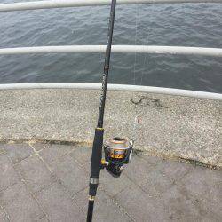 ツバス4バイト2ゲット!