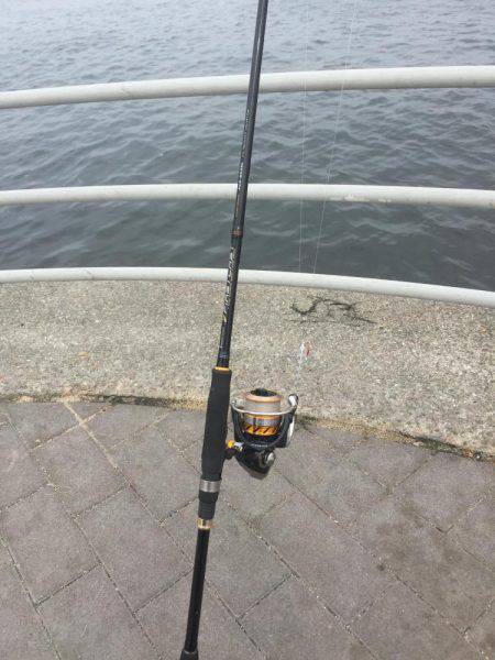 ツバス4バイト2ゲット!