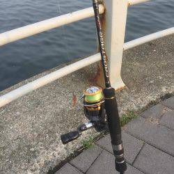 サイズちょい上がってきたかな